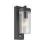 Endon HAYDEN PIR 99756 Applique murale 15W/E27 IP44