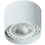 AZzardo ECO ALIX SMART WIFI AZ3770 Opbouwspot 1x11W/GU10/ES111 2700K-6500K 880LM IP20