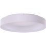 AZzardo SOLVENT R 60 SMART WIFI AZ3994 Plafondlamp 1x42W/LED 2700K-6500K 3280LM IP20