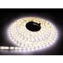 Eko-Light LED STRIP EKPL1825 LED-strip 48W/500cm IP65