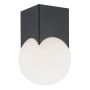 Argon AUSTIN 4713 Plafonnier 1x7W/E14 IP20