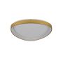 Azzardo AMANDA AZ5770 Plafonnier 1x70W/LED 3000|4000|6000 IP20