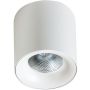 AZzardo MANE AZ4155 Opbouwspot 1x30W/LED 3000K IP20