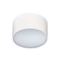 Azzardo MONZA AZ2257 Plafondlamp 1x10W/LED IP20