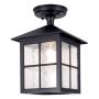 Elstead Lighting WINCHESTER BL18A-BLACK Plafondlamp 1x60W/E27 IP43