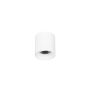 Italux ALTISMA CLN-6677-75-WH-4K Opbouwspot 1x10W/LED 4000k 1100LM IP20