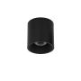 Italux ALTISMA CLN-6677-95-BL-4K Opbouwspot 1x15W/LED 4000k 1650LM IP20