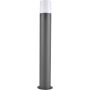 Polux DALLAS 315984 Vloerlamp 1x12W/E27 IP44