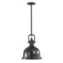 Feiss PARKER PLACE FE-PARKER-P-M-DB Suspension lumineuse 1x60W/E27