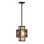 Feiss REMY FE-REMY-P-C Hanglamp 1x60W/E27