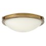 Hinkley Lighting COLLIER HK-COLLIER-F-M Plafonnier 3x60W/E27