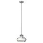 Hinkley Lighting CONGRESS HK-CONGRESS-P-C-CM Hanglamp 1x60W/E27