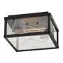 Hinkley Monte HK-MONTE-F-BK Lampe de plafond 2x40W/E27 ip44