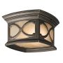 Kichler FRANCEASI KL-FRANCEASI-F Plafonnier 2x60W/E27 IP44