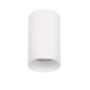 Luces Exclusivas ACANCEH LE61625 Opbouwspot IP20
