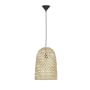 Luces Exclusivas PALMAR LE42954 Hanglamp IP20