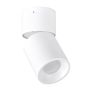 Polux NIXA 314239 Opbouwspot max 10W LED IP20