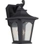 Quoizel BEDFORD QZ-BEDFORD2-S Applique murale 1x60W/E27 IP44