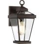 Quoizel RAVINE QZ-RAVINE2-S Wandlamp 1x60W/E27 IP44