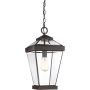 Quoizel RAVINE QZ-RAVINE8-L Suspension lumineuse 1x60W/E27 IP44