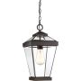 Quoizel RAVINE QZ-RAVINE8-M Suspension lumineuse 1x60W/E27 IP44