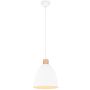 Trio JAGGER R30681031 Hanglamp 1x40w/e27 ip20