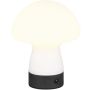 Trio DOOLEY R54981131 Tafellamp 1x1.5w/led 3000k 140lm ip20