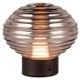 Trio EARL R57771154 Lampe de table 1x2w/led 3000k 100lm ip20