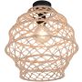 Trio HIVE R61681036 Plafondlamp 1x10w/e27 ip20