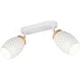 Trio BIDAR R81572031 Spot 2x10w/e14 ip20
