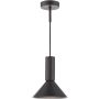 Dar Lighting Ragnar RAG0122 Hanglamp 1x9w/gu10