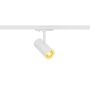 SLV NOBLO 1007353 Railspot 1x8.4W/LED 2000K|3000K 450lm IP20