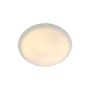 Nordlux STANDARD 2410256001 Plafonnier 1x60W/E27 IP20