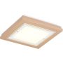 Argon TABOR 1871 Lampe de plafond 4x15W/E27 ip20