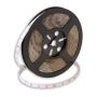 SMD LED PROline TAS4243SLL Ruban LED 60x6W/m/LED 4000K 720 lm/m IP66