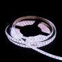 SMD LED PROline TAS4281SLL LED-strip 120x12W/m/LED 6000K 1400 lm/m IP66