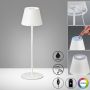 Fischer&Honsel Cosenza 850211 Tafellamp 2x2W/LED RGBW 270lm IP44