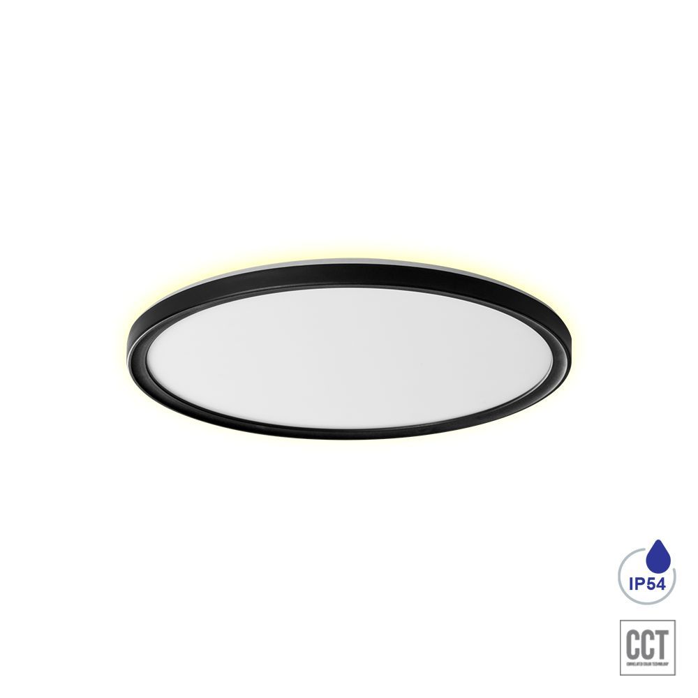 Prezent-CORDIA II.-27310-PRE27310