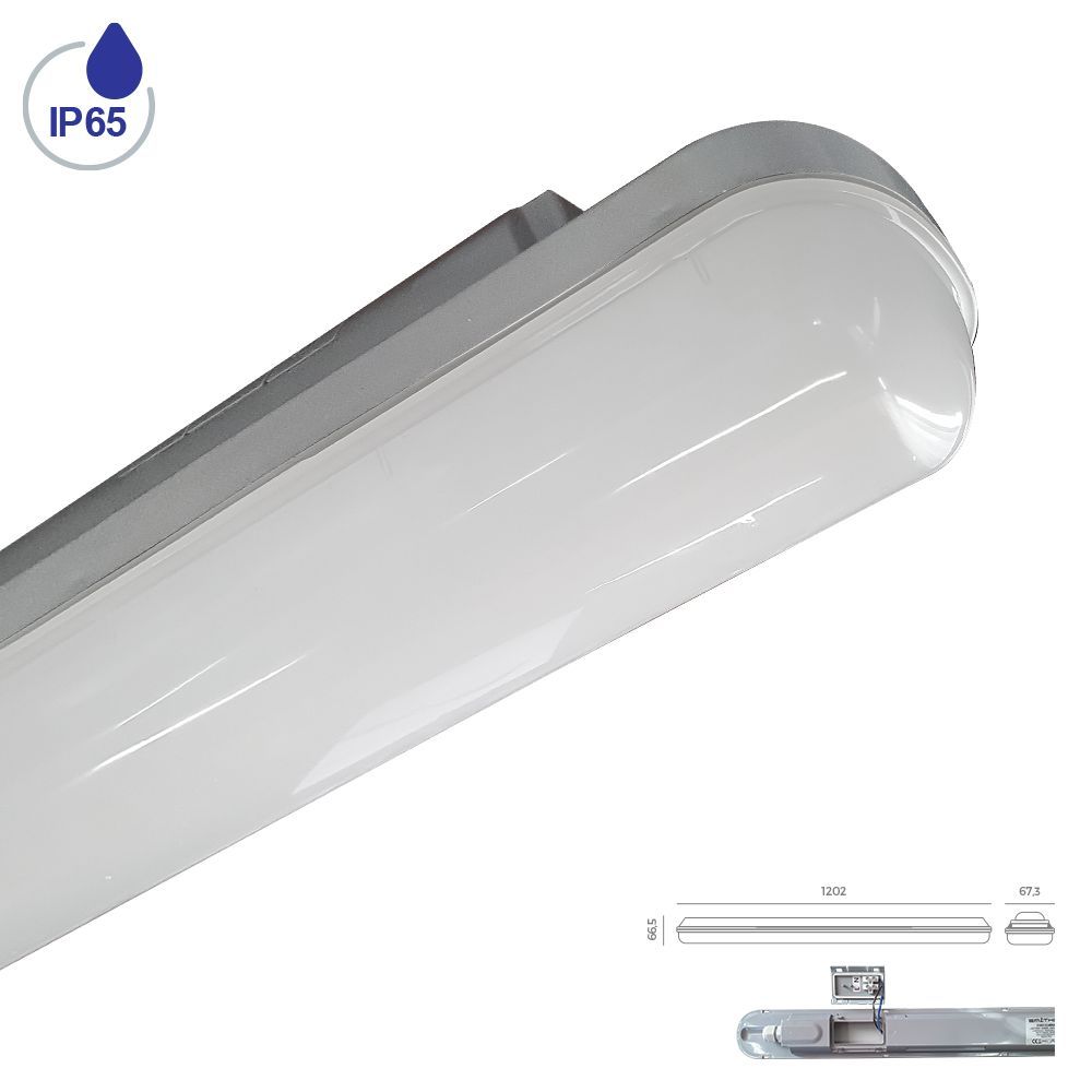 Prezent-ELMINA-31602-PRE31602