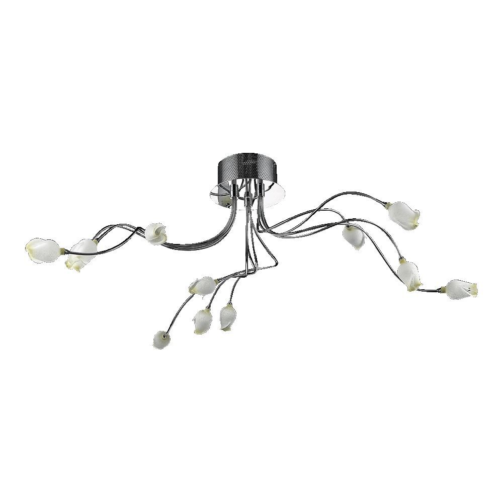Prezent-LOTOSS-64032-PRE64032