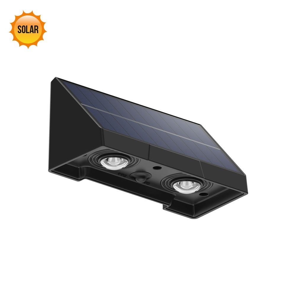 Prezent-MUSE-65281-PRE65281