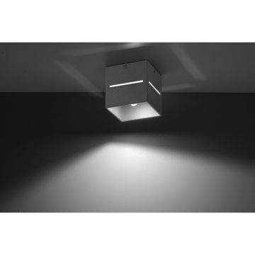 Sollux LOBO SL.0208 Spot en saillie 1x40W/G9
