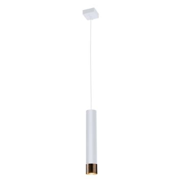 Antigo Eido 8257 Hanglamp 1x10W/GU10 IP20