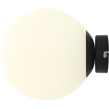Aldex BALL 1076C1_M Applique murale 1x15W/E27 IP20