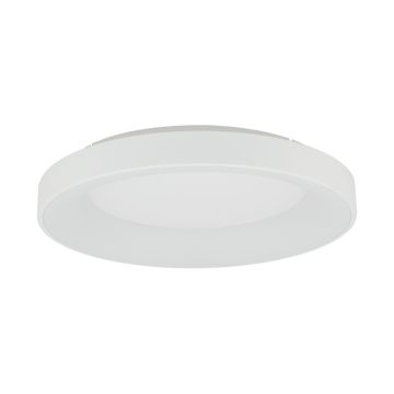 Nowodvorski NIKKI LED 11202 Plafondlamp 1x60W/LED 3000K 5400lm IP20