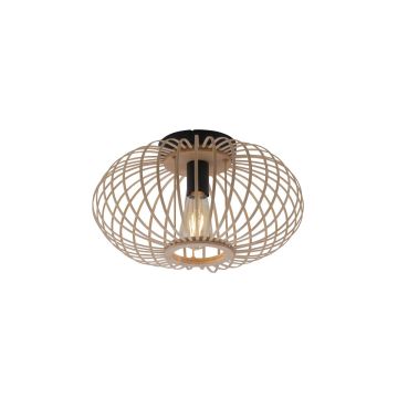 Paul Neuhaus RACOON 11410-79 Plafondlamp 1x40W/E27 IP20