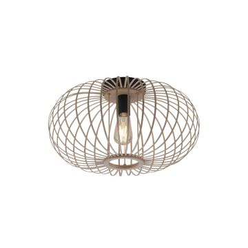 Paul Neuhaus RACOON 11411-79 Plafondlamp 1x40W/E27 IP20