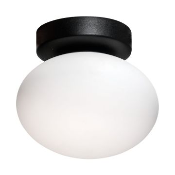 Zuma Line OMI 1188 Plafondlamp 1x5W/G9 IP20