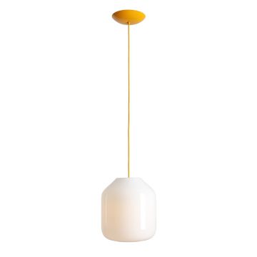 Aldex FLASK MIMOSA L 8500G21_L Hanglamp 1x15W/E27