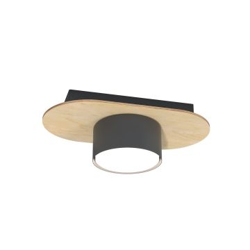Emibig DIAZ 1438/1 Plafondlamp 1x10W/GX53 IP20